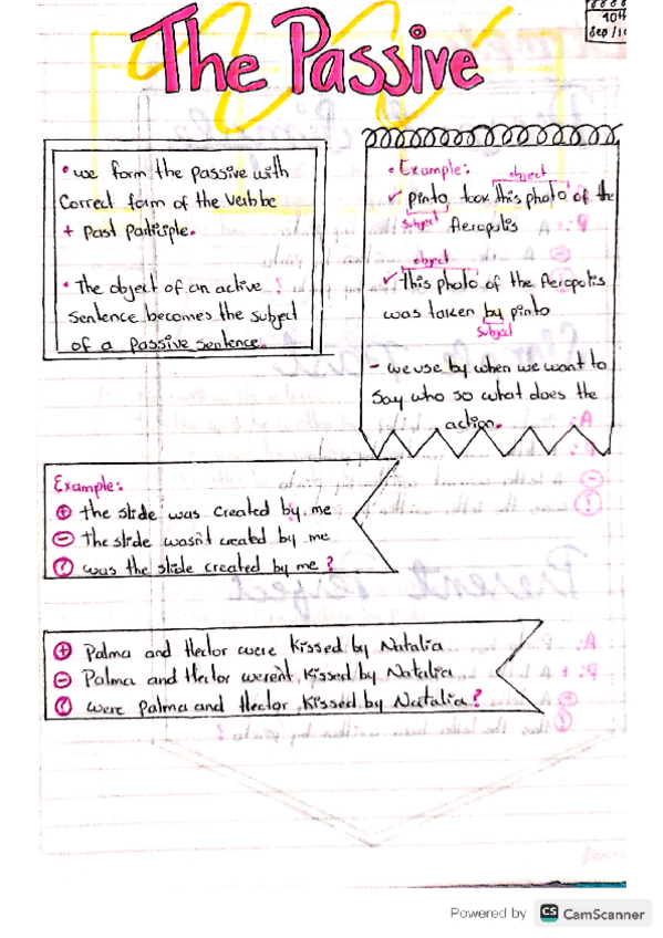 Miniatura del documento The-passive.pdf