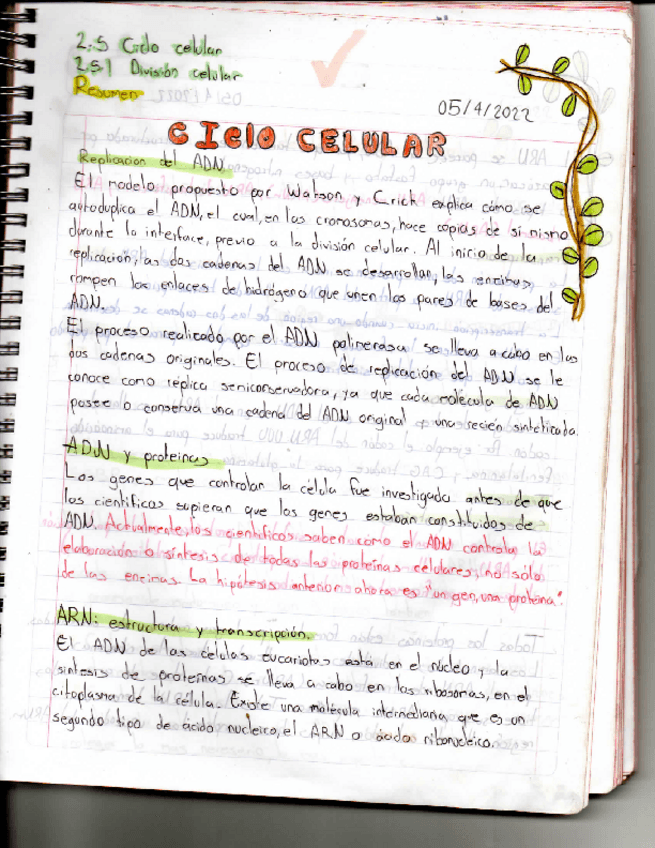 Miniatura del documento Ciclo-Celular-Biologia.pdf