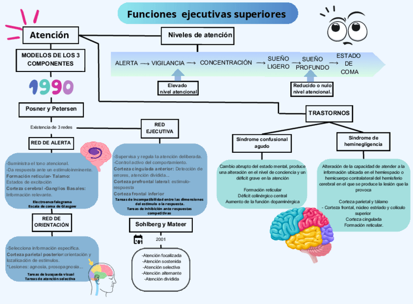Miniatura del documento Psicofisiologia-Mapa-UC1.pdf