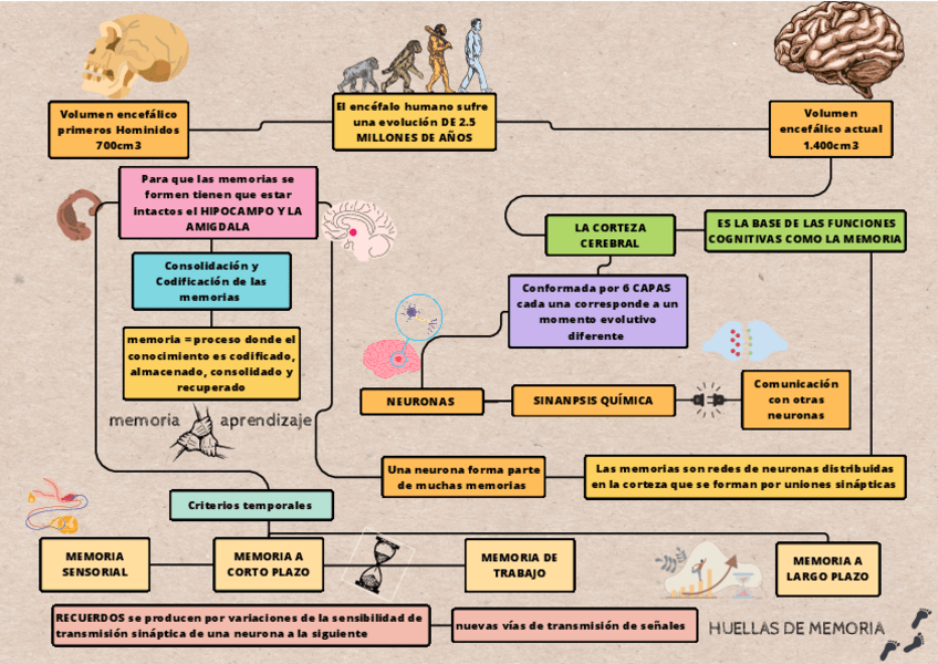 Miniatura del documento MAPA-CONCEPTUAL-MEMORIA.pdf