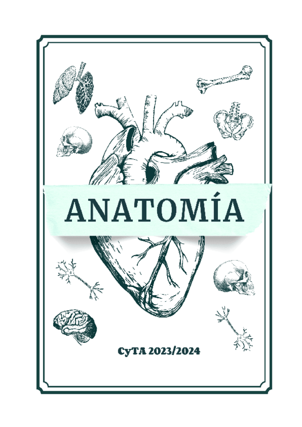 Miniatura del documento TEMARIO-ANATOMIA.pdf
