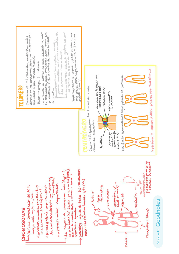Miniatura del documento esquema-T7-A4A3.pdf