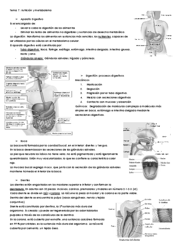 Miniatura del documento CMN-T7.pdf