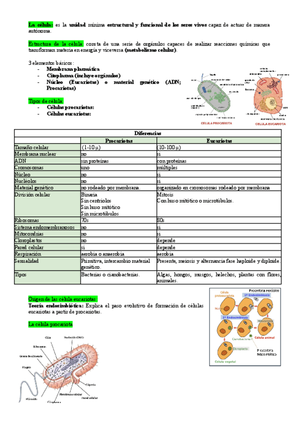 Miniatura del documento CMN-Tema-3-LOS-SERES-VIVOS-FUNCIONAN-Y-SE-CONSTRUYEN-DE-CELULAS.-1.pdf