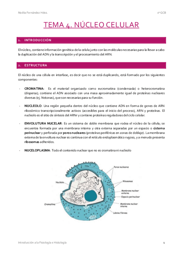 Miniatura del documento T4.-Nucelo-Celular.pdf