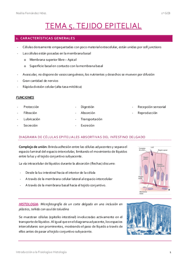 Miniatura del documento T6.-El-Tejido-Epitelial.pdf