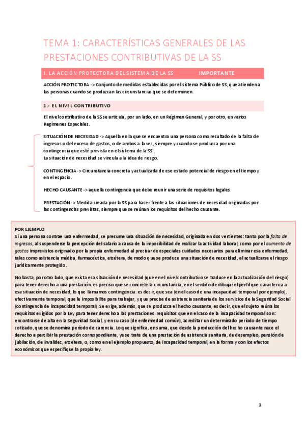 Miniatura del documento APUNTES-accion-protectora.pdf