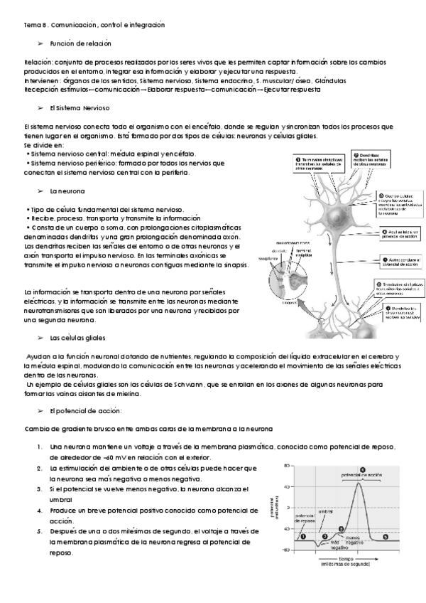 Miniatura del documento CMN-T8-2.pdf