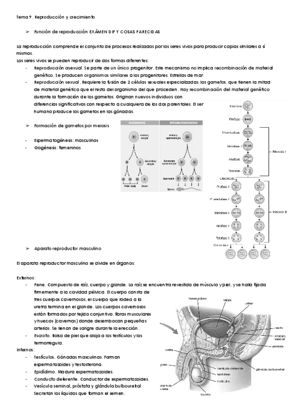 Miniatura del documento CMN-T9-1.pdf