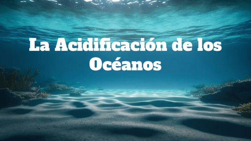 Miniatura del documento Presentacion-Acidificacion-de-los-Oceanos-1.pdf