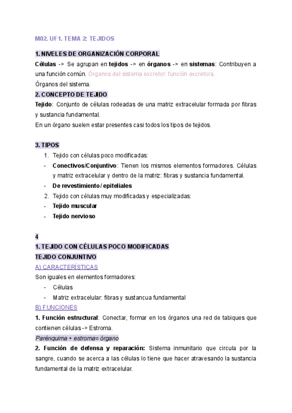 Miniatura del documento T2.pdf
