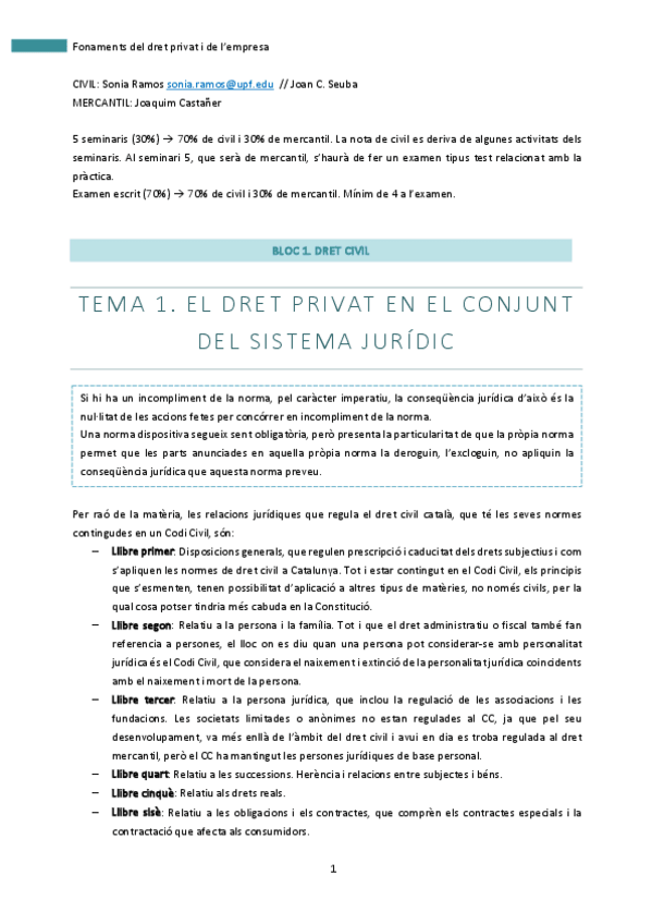 Miniatura del documento Apunts civil.pdf