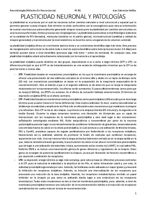 Miniatura del documento PlasticidadSinapticaIzanCabrerizoResumen-copia.pdf