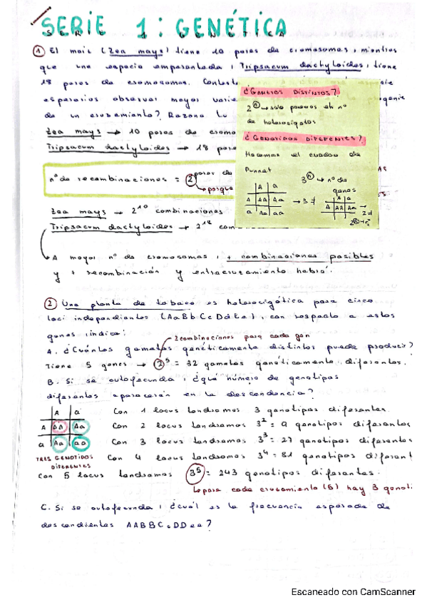 Miniatura del documento seriesgenetica20232024.pdf