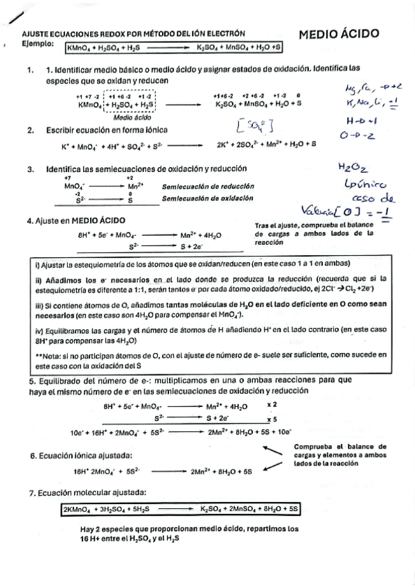 Miniatura del documento Redoxpasos-a-seguir.pdf