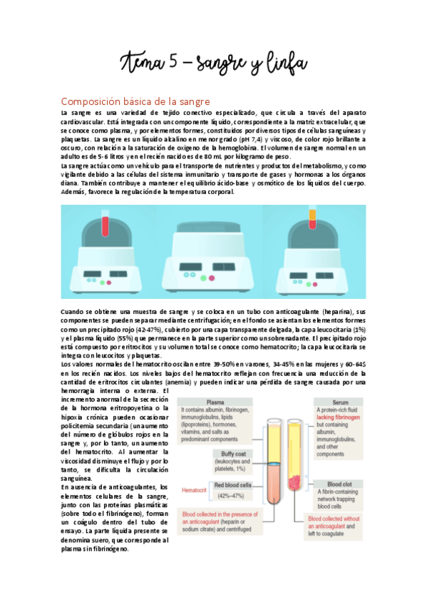 Miniatura del documento Tema 5 - Sangre y linfa.pdf