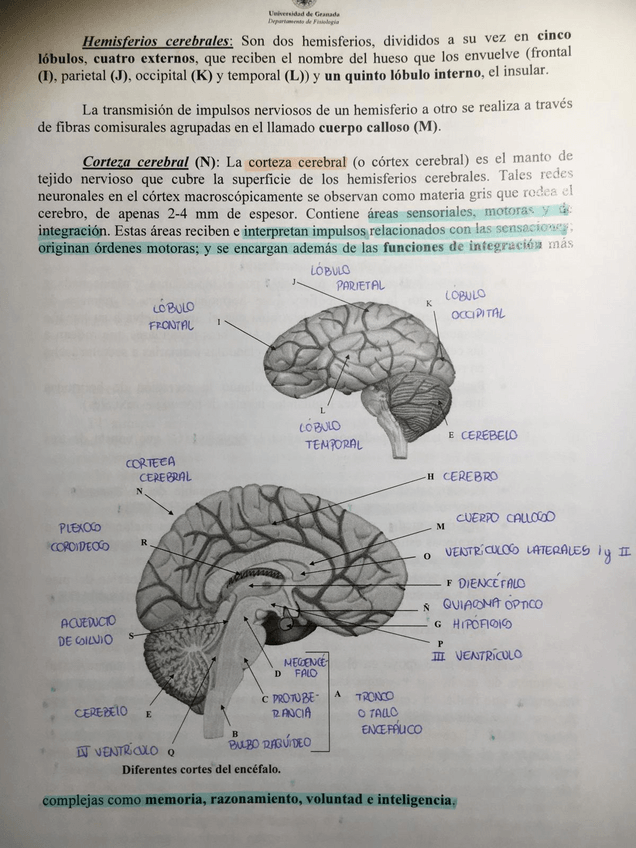 Miniatura del documento Cuaderno Prácticas FCH1.pdf