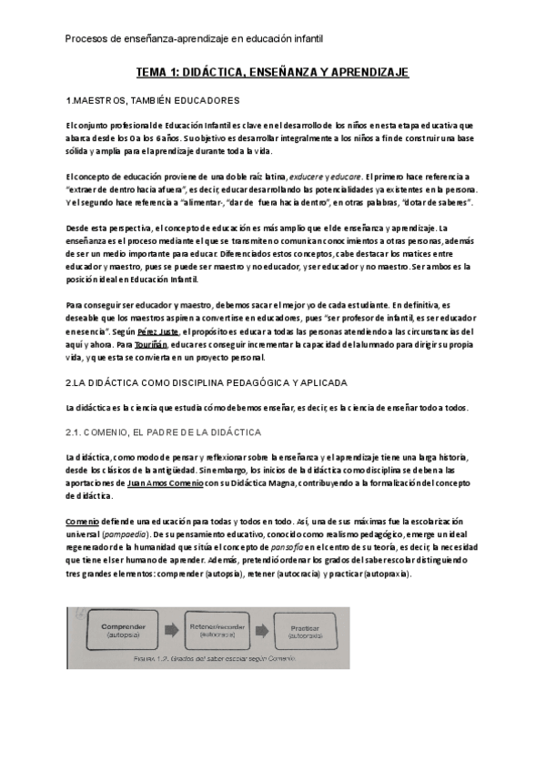 Miniatura del documento TEMA-1-DIDACTICA-ENSENANZA-Y-APRENDIZAJE.pdf