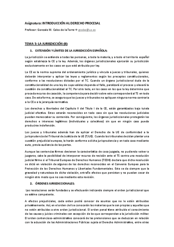 Miniatura del documento TEMA-3-LA-JURISDICCION-II.pdf