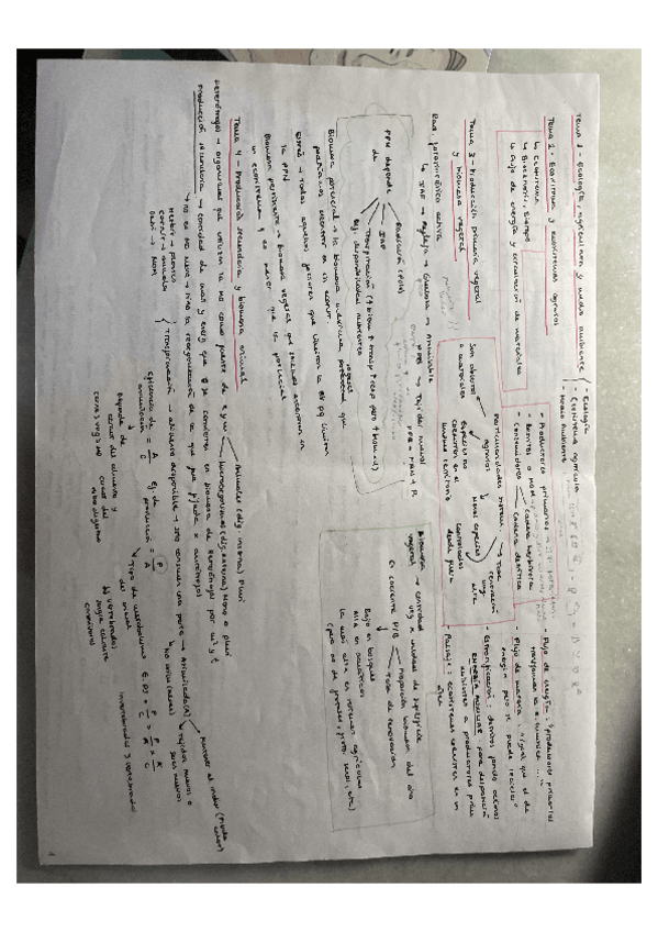 Miniatura del documento Esquemas-CTMA.pdf