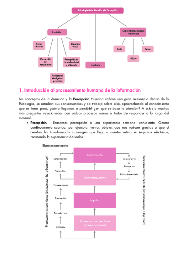 Miniatura del documento Atencion-y-Percepcion-Extras--Preguntas-Test.pdf