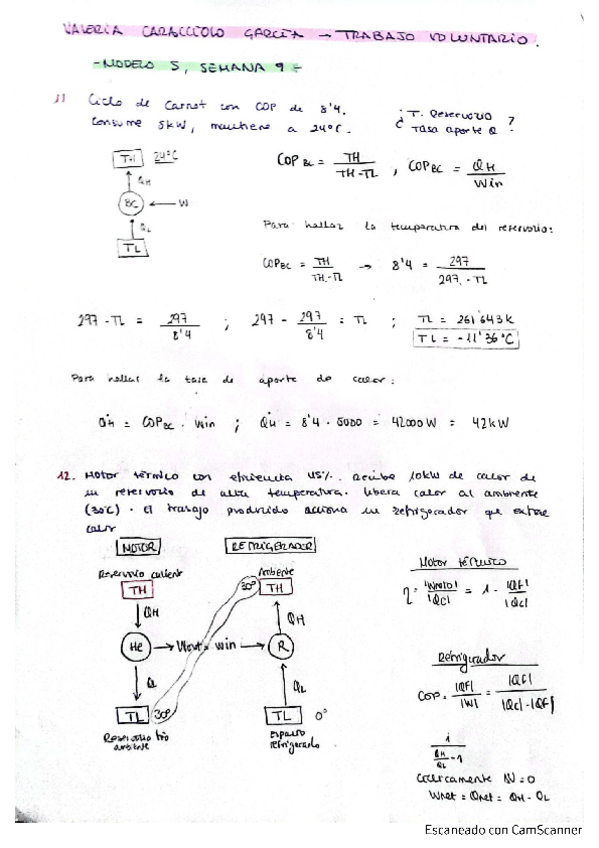 Miniatura del documento Actividades-voluntarias-semana-8-y-9.pdf