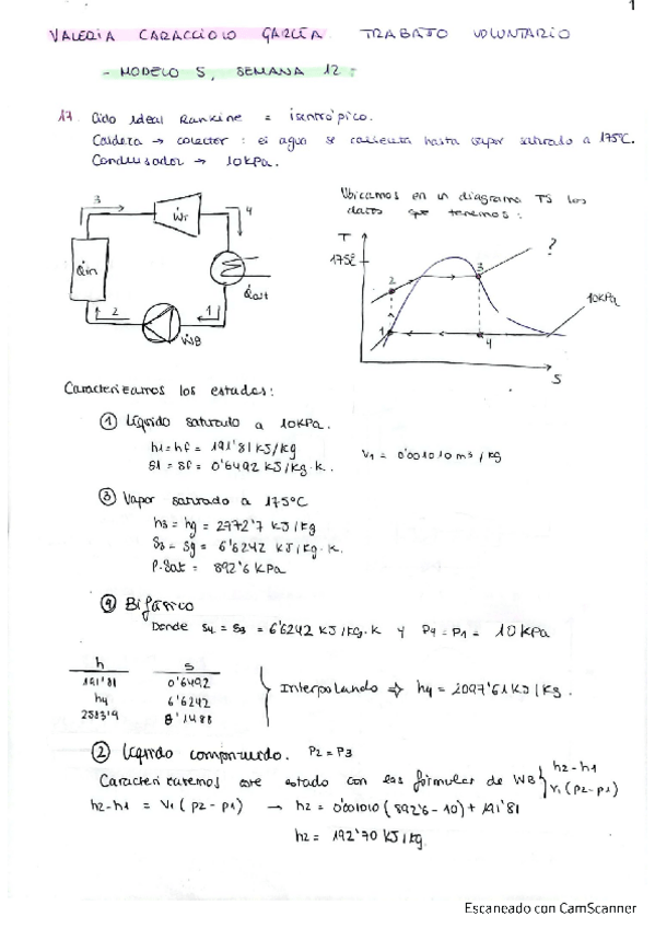 Miniatura del documento Actividades-voluntarias-semana-12.pdf