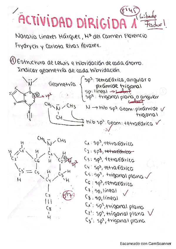 Miniatura del documento Actividad Dirigida 1 Orgánica.pdf