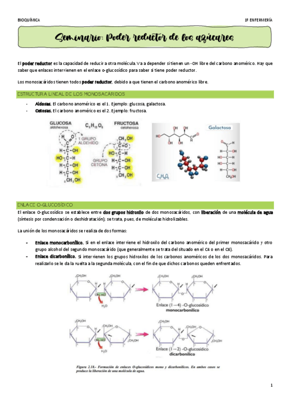 Miniatura del documento Seminario-Glucidos-y-poder-reductor-de-los-azucares.pdf