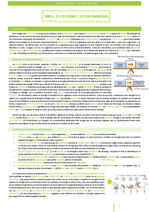 Miniatura del documento Apuntes-ECO1-27-28.pdf