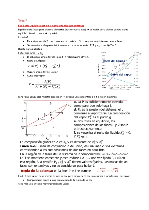 Miniatura del documento Tema 7: Equilibrios entre fases en sistemas multicomponente.pdf