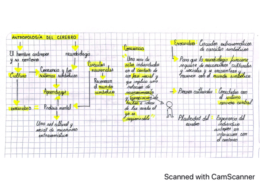 Miniatura del documento RogerBartraMAPAAntropologia-del-cerebr.pdf