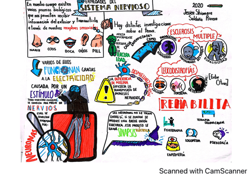 Miniatura del documento SaludSistema-NerviosoSalrive-JeShio.pdf