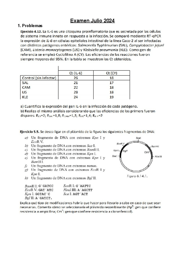 Miniatura del documento Examen-Julio-2024.pdf