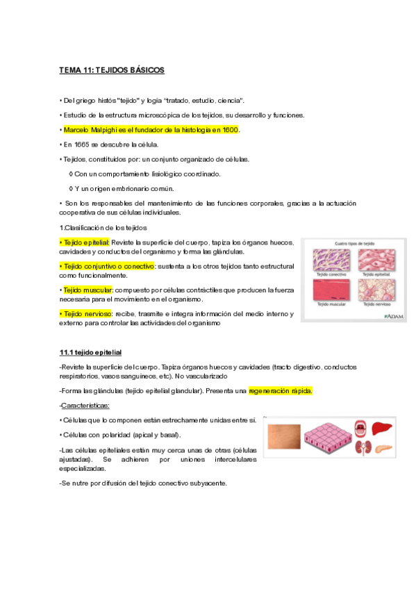 Miniatura del documento tejidos-biologia.pdf
