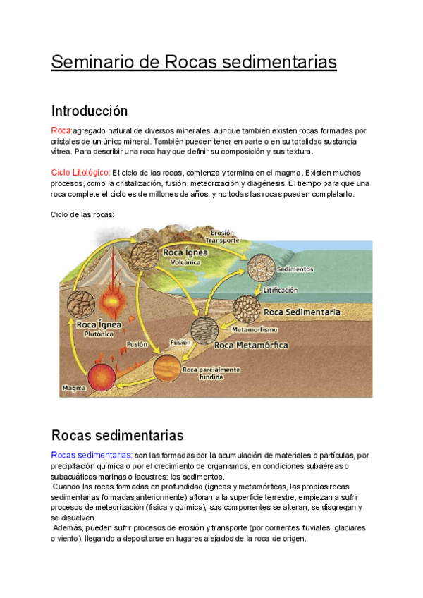 Miniatura del documento Seminario-de-Rocas-sedimentarias.pdf
