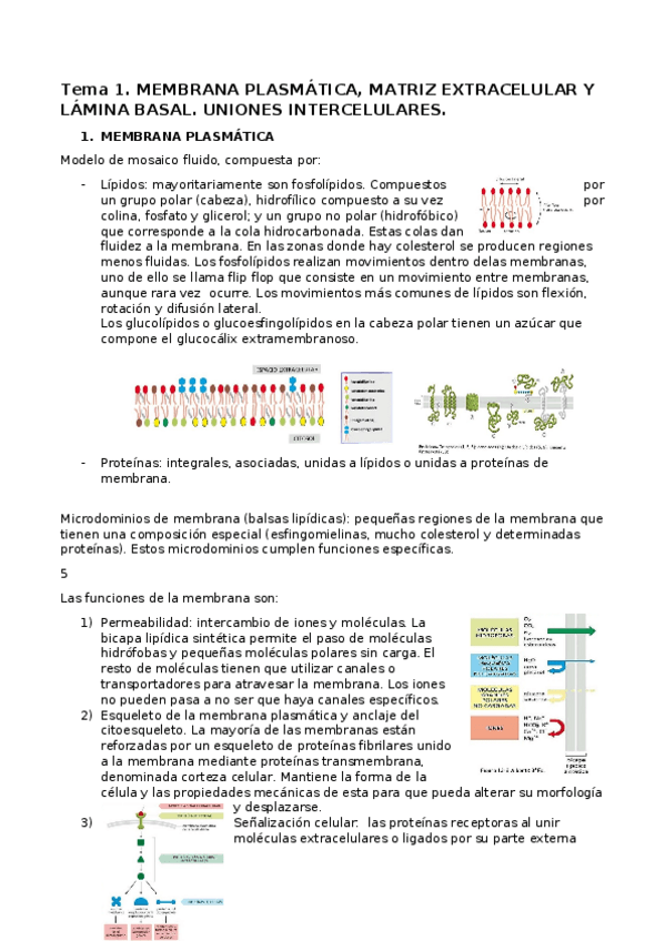 Miniatura del documento Biologia.docx