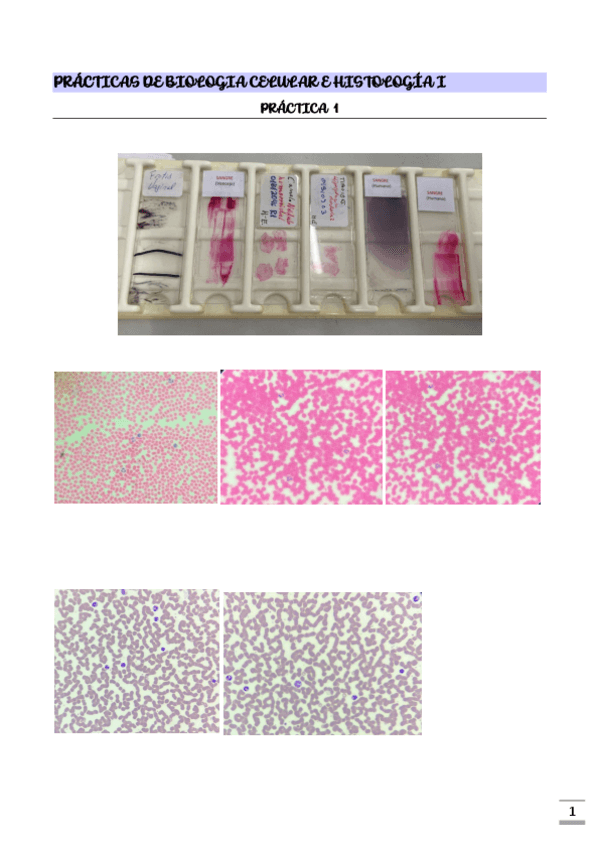 Miniatura del documento Pc.Bio-Cel-I.pdf