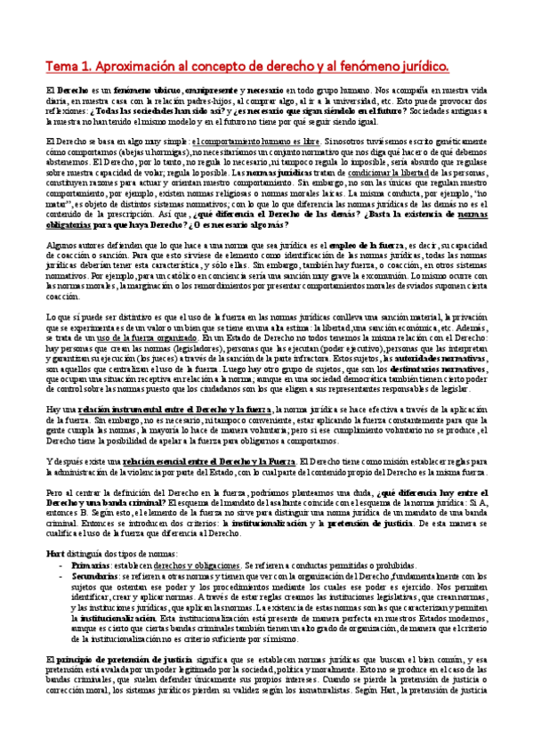 Miniatura del documento Apuntes completos de teoría del derecho.pdf