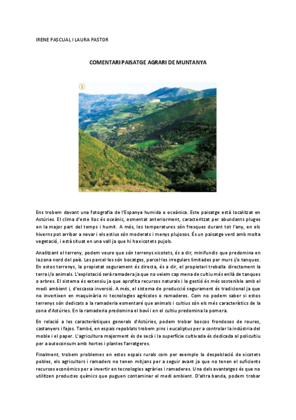 Miniatura del documento COMENTARI-PAISATGE-DE-MUNTANYA.pdf