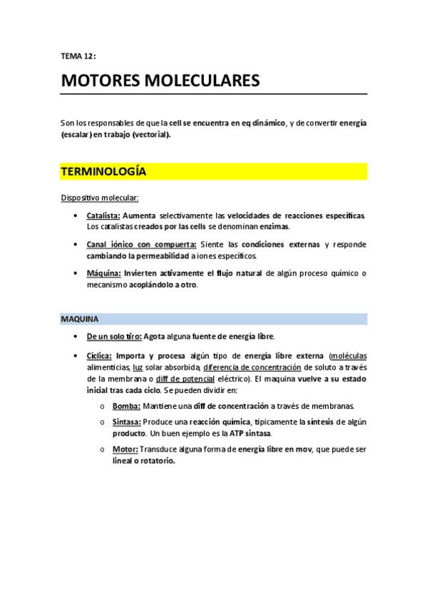 Miniatura del documento T12 - Motores moleculares.pdf