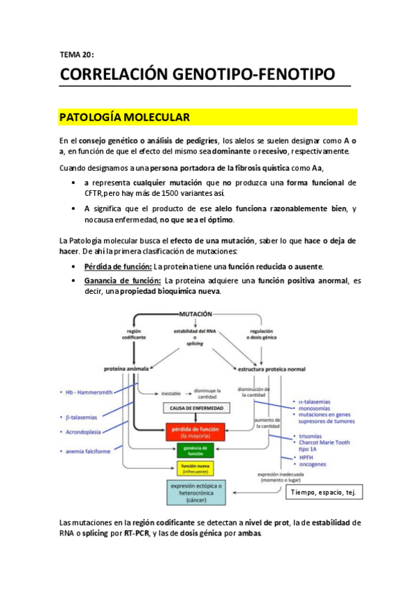 Miniatura del documento TEMA 20 - Correlacion genotipo fenotipo.pdf