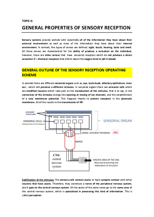 Miniatura del documento T6 - General Properties of Sensory Reception.pdf