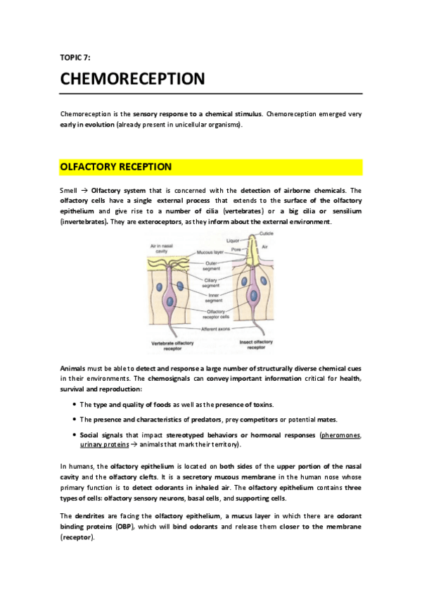 Miniatura del documento T7 - Chemoreception.pdf