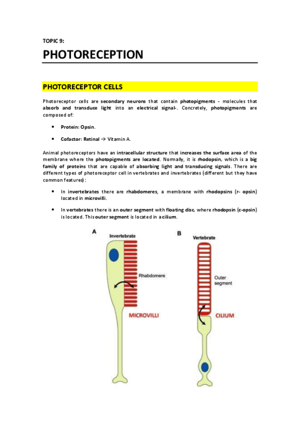 Miniatura del documento T9 - Photoreception.pdf