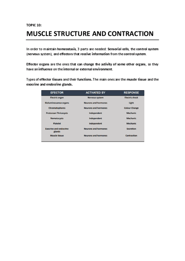 Miniatura del documento T10 - Muscle Structure and Contraction.pdf
