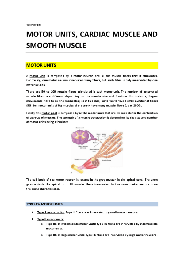 Miniatura del documento T13 - Motor Unit Cardiac Muscle and Smooth Muscle.pdf