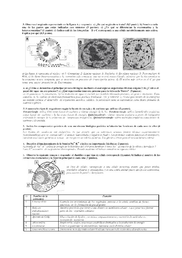 Miniatura del documento ebau-bio-bloque-2.pdf