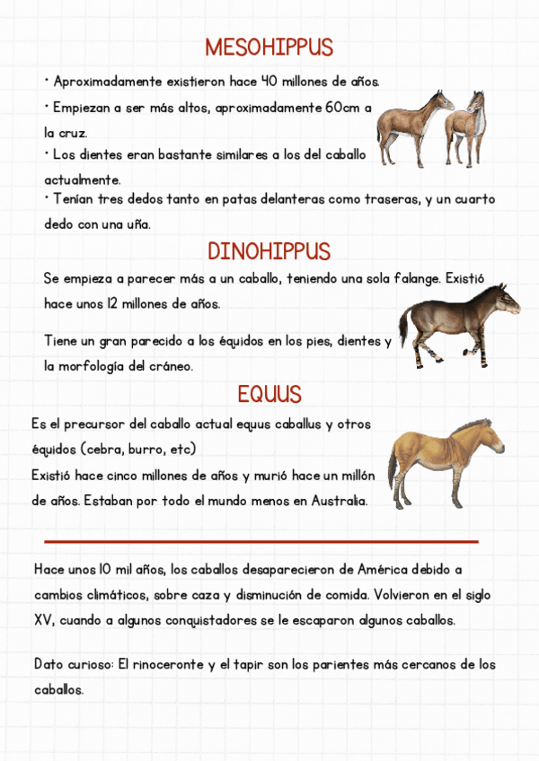 Miniatura del documento Evolucion-del-caballo-y-burro.pdf