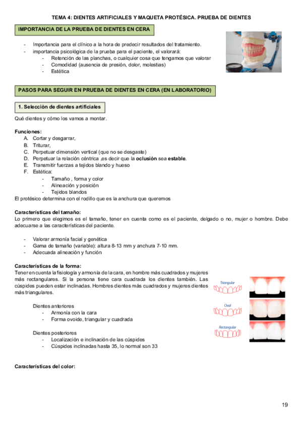 Miniatura del documento Tema-4. Dientes artificiales y maqueta protésica. Prueba de dientes.pdf